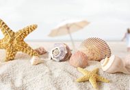 offerte hotel cervia