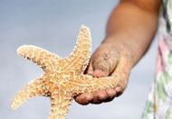 offerte hotel cervia